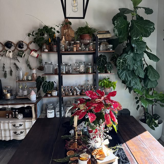 Post by agothicarygardens