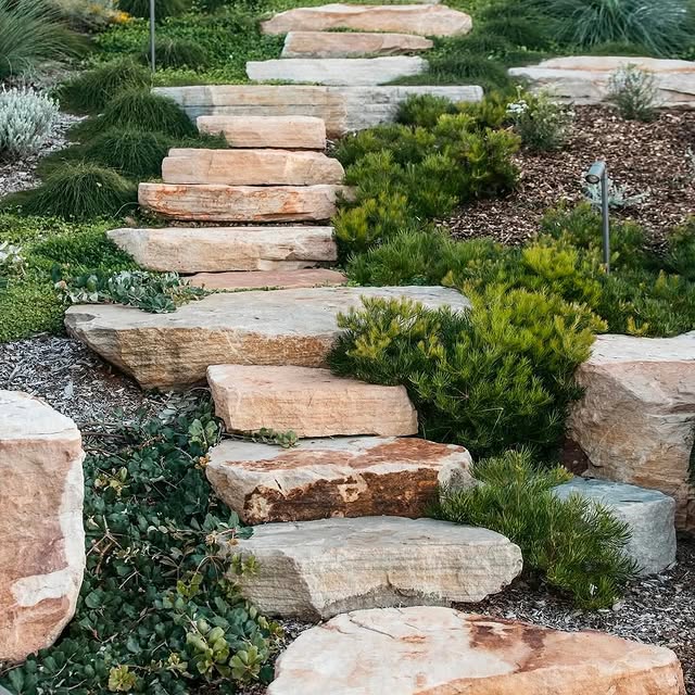 Post by guidetobettergardens