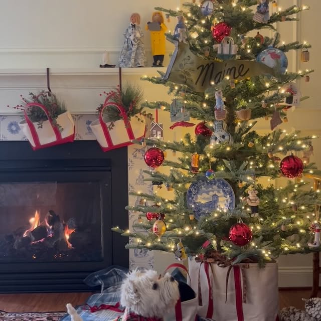 Post by houseandgardendog