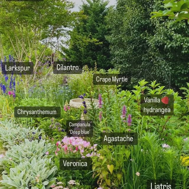 Post by jaysgardenjournal