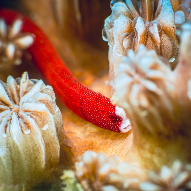 Post by floodedcamera