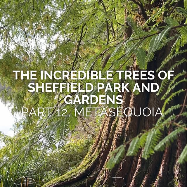 Post by joeperkinsdesign