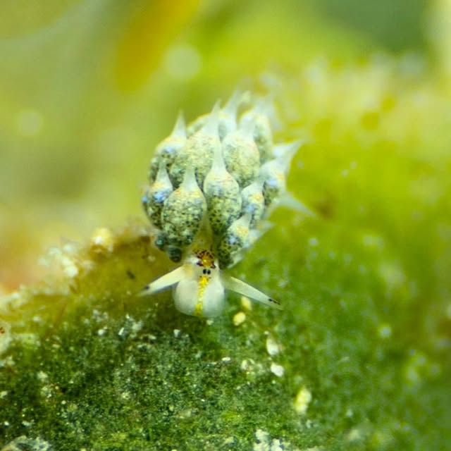 Post by scuba_junkie