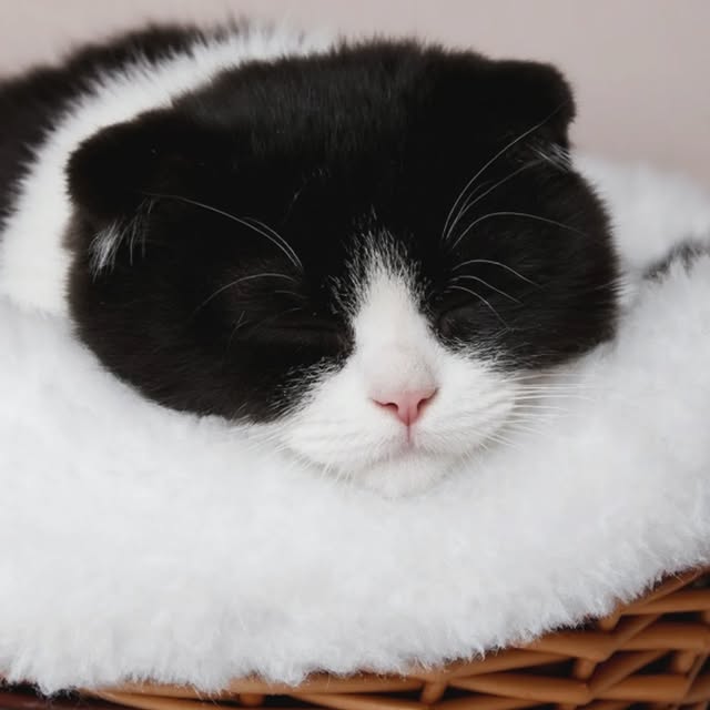 Post by yulius_ery_mahendra