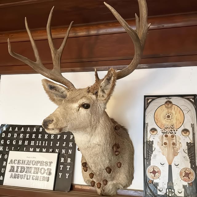 Post by vintageticking