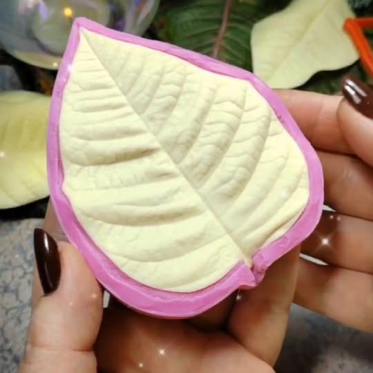 Post by bouquet_of_flowers_nm