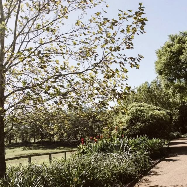 Post by horizonlandscapes