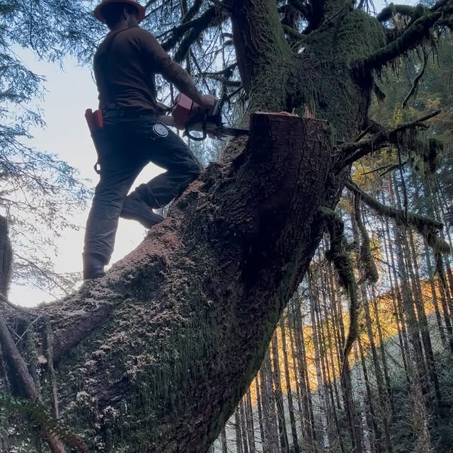 Post by coast_cutter