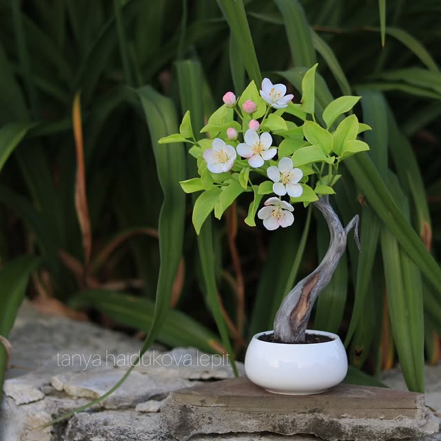 Post by tanya.haidukova.lepit