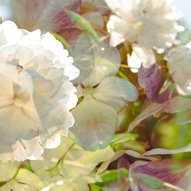 Post by hannnasofiaa