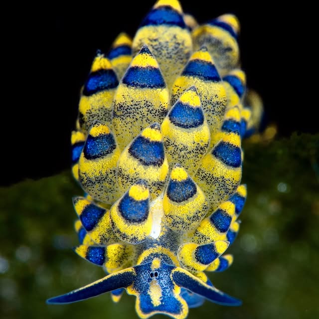 Post by michaels_bubbles