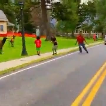 Post by touronsofyellowstone