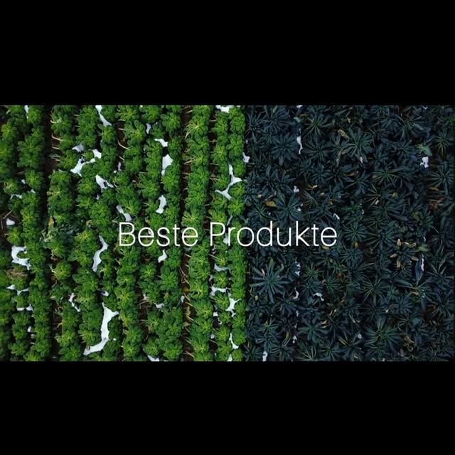 Post by paradiesbaden