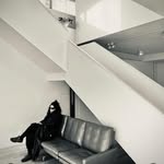 Dana Weinroth's profile picture