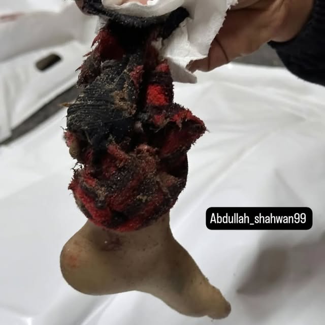 Post by mohamed.h.masri