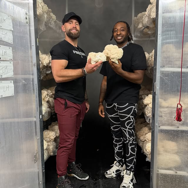 Post by tommythemushroomman