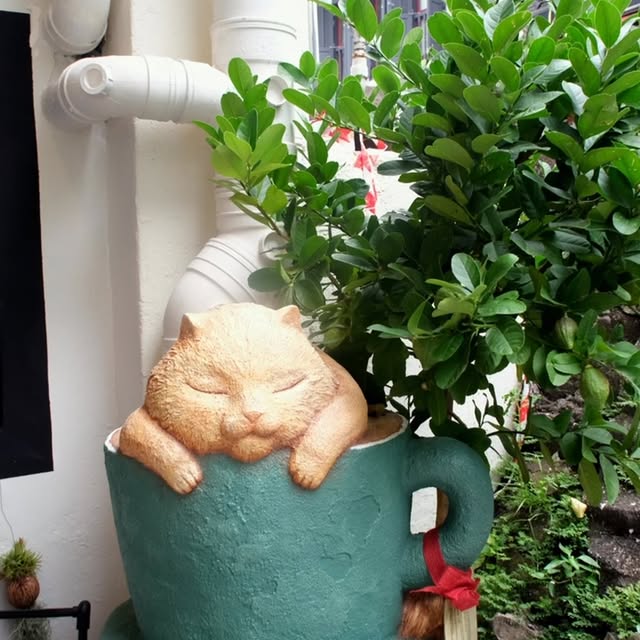 Post by kyuukeicoffee