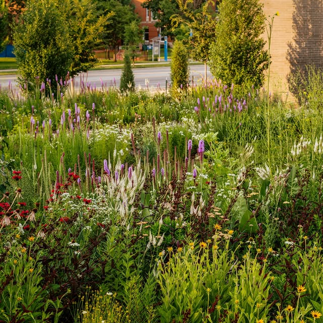 Post by kellydnorris