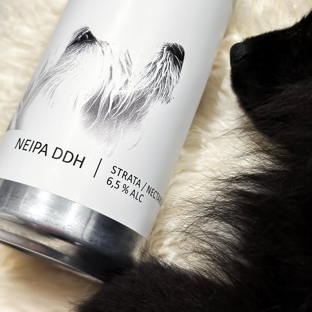 Post by popihn_brewery