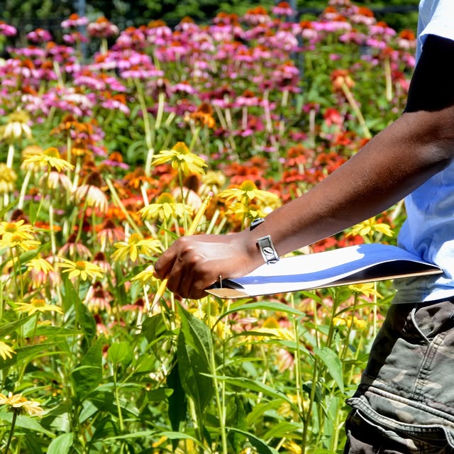 Post by mtcubacenter