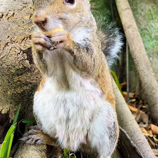 Post by ardilla.maravilla