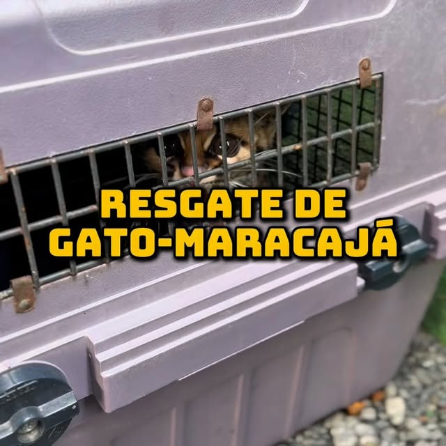 Post by biologo.christian