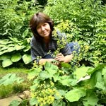 Ina Leupold's profile picture