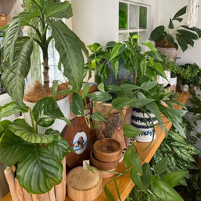 Post by time_with_liberty