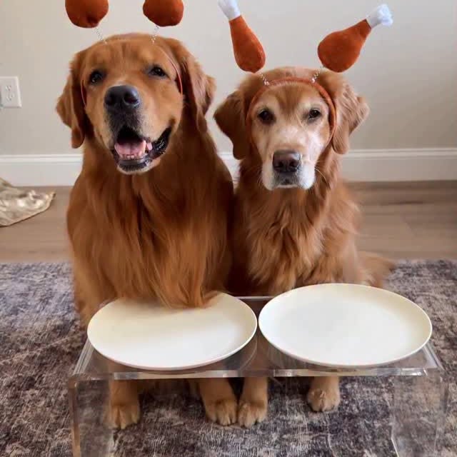 Post by bowen_thegolden
