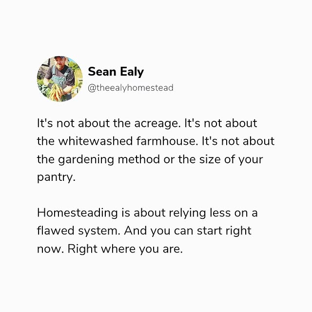 Post by theealyhomestead