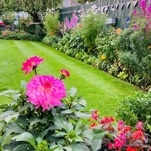 Post by bibbys_home_and_garden