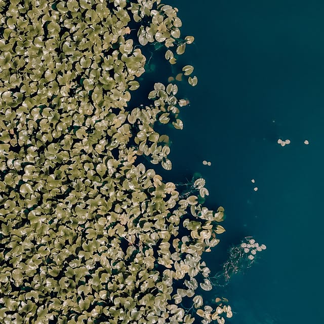 Post by timdreher.visuals