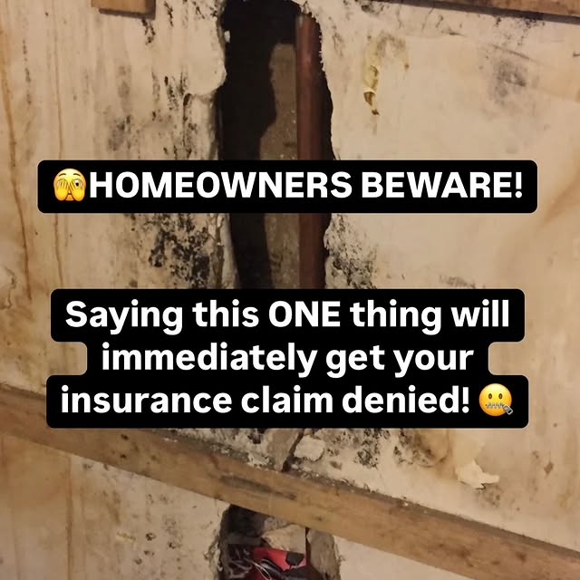 Post by twinhomeexperts