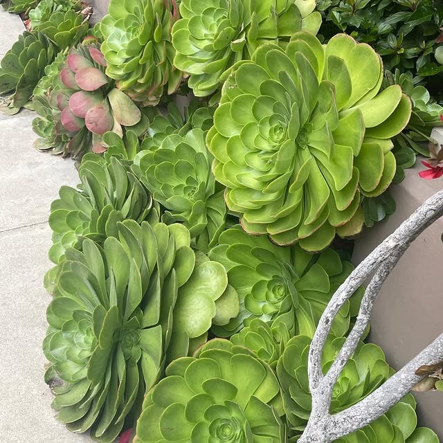 Post by ruth_willmott_associates