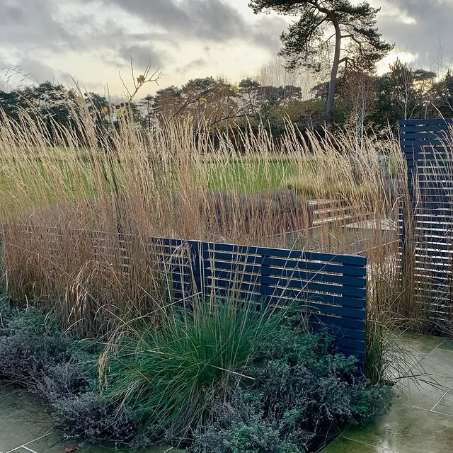 Post by acreswildgardendesign