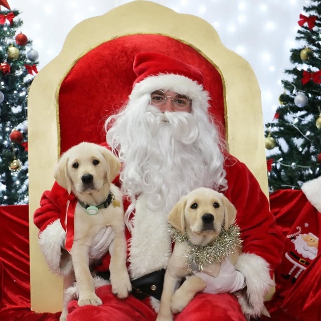 Post by sophies.legacy