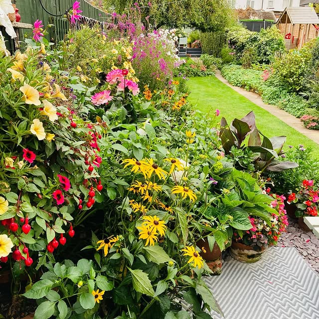 Post by bibbys_home_and_garden