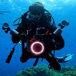 CyberOceans's profile picture