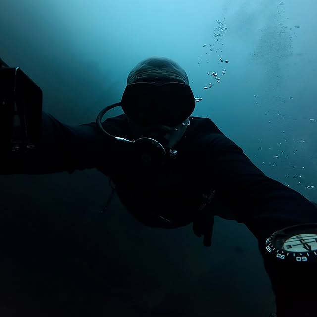 Post by kingkongdivingsg