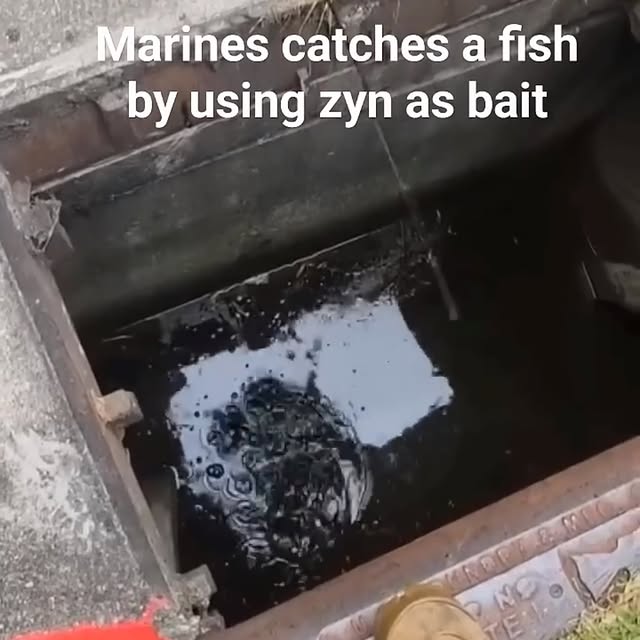 Post by kagan.dunlap