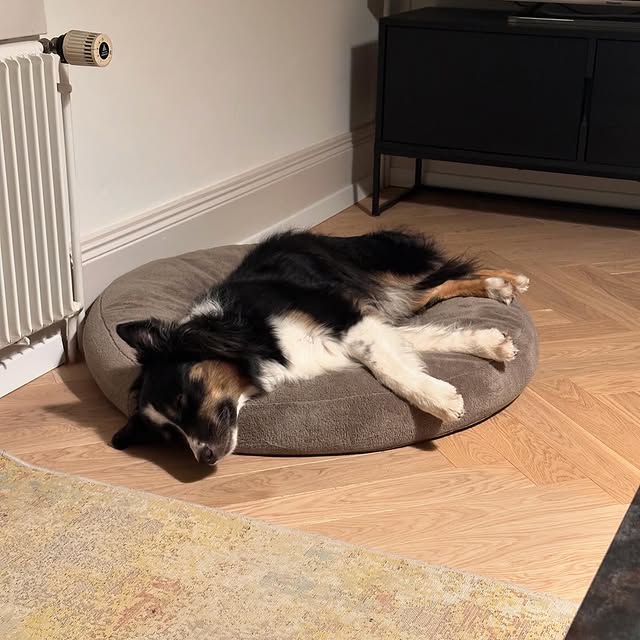 Post by manu.steigmeier