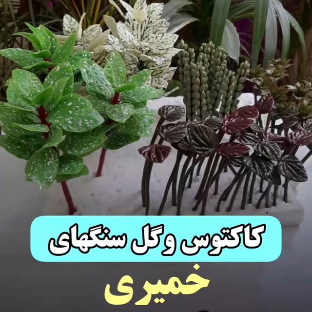 Post by honarkadeh.peony