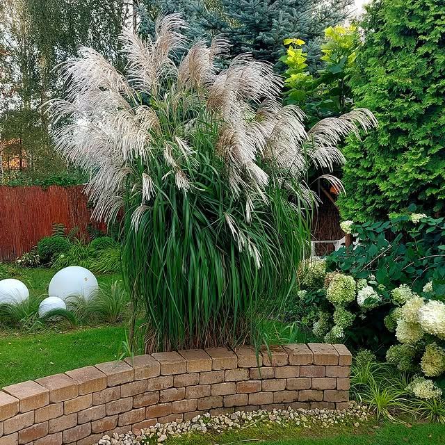 Post by imperfect_garden_pl