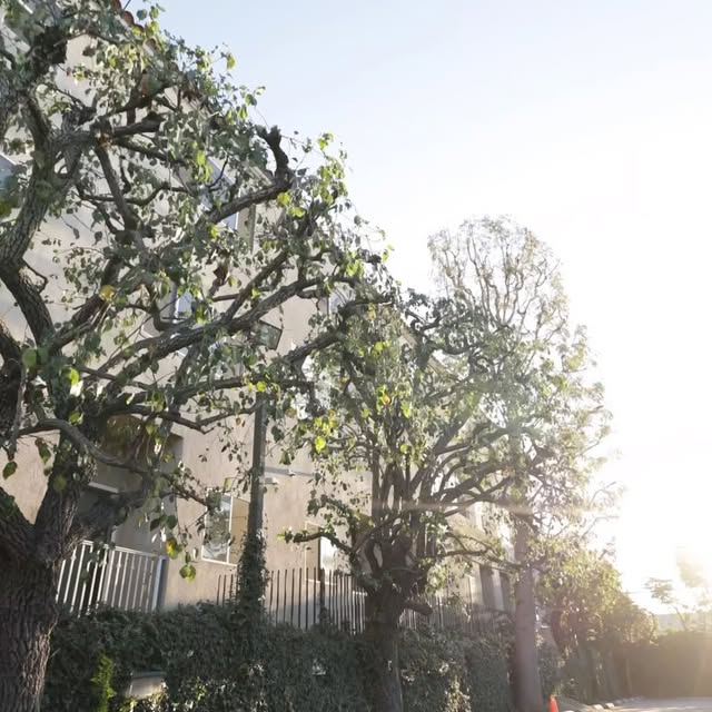 Post by banueloslandscaping