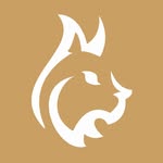 Bushcraft Spain's profile picture