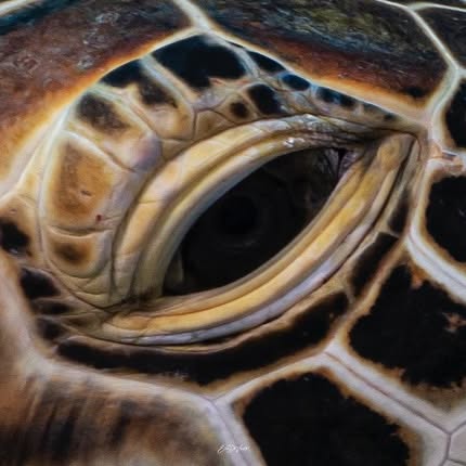 Post by ericdevicente