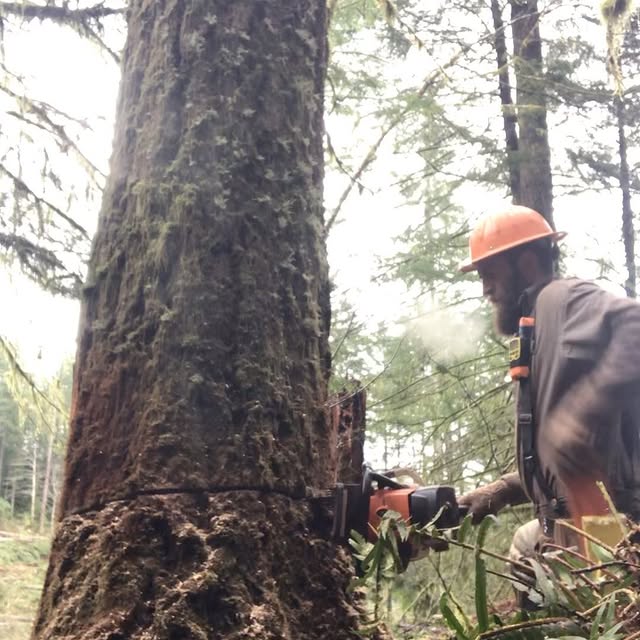 Post by coast_cutter