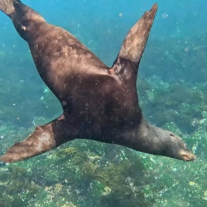 Post by kath.sea.fish