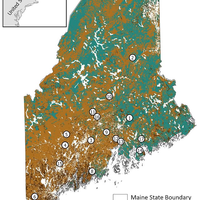 Post by americanforesters