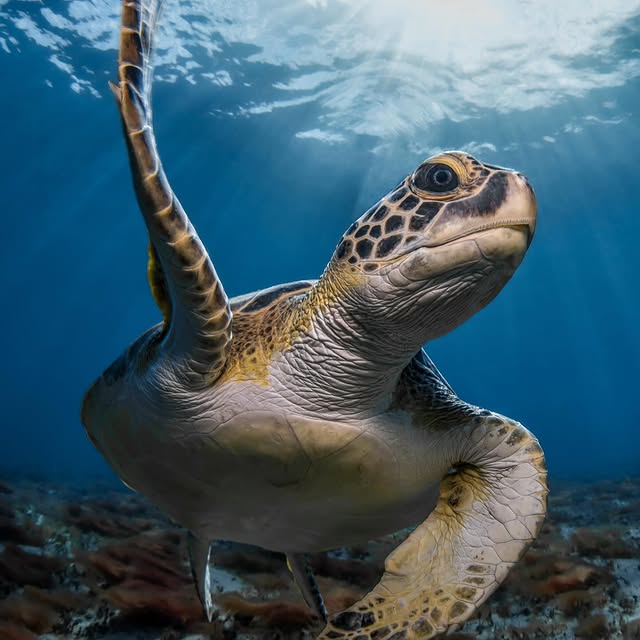 Post by jferraragallery